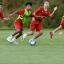 Speed and verticality